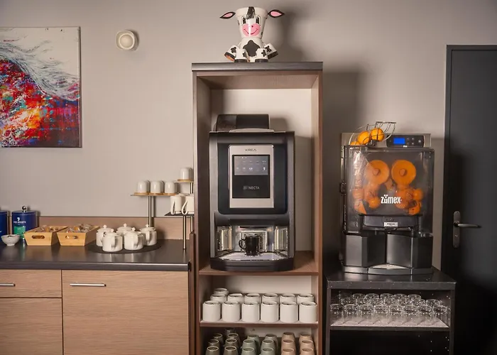 Alezan & Апарт-отель Тулуза